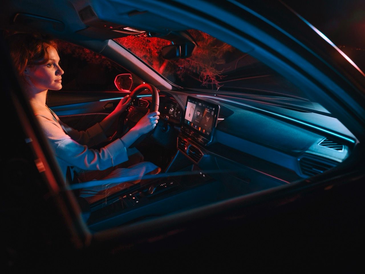 Cupra Formentor  - Image 35